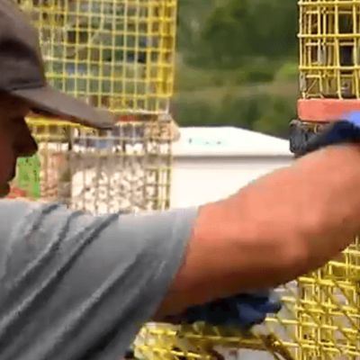 Senator Collins seeks to restore funding for sea grant program