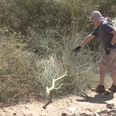 Green Valley community ramps up wildfire prevention efforts ahead of fire season