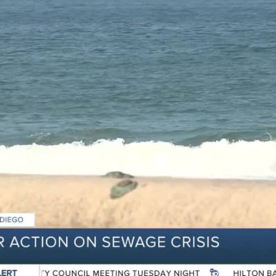 Local South Bay leaders & residents rally to call for action on sewage crisis
