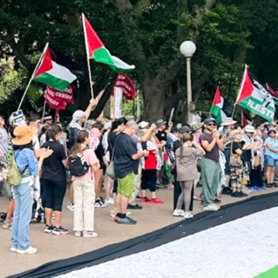 Sydney pro-Palestinian protest group to launch legal challenge to Herzog visit police powers