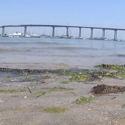Suicide prevention barriers coming to the Coronado Bridge