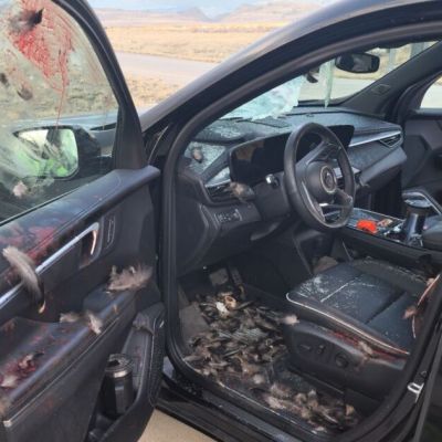 Turkey collision on I-15 leaves SUV’s interior covered in blood, feathers
