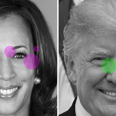 Could monkeys predict the presidential election? Fascinating new study