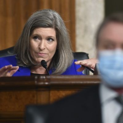 Dems Boo Ernst's Speech Touting DOGE Savings
