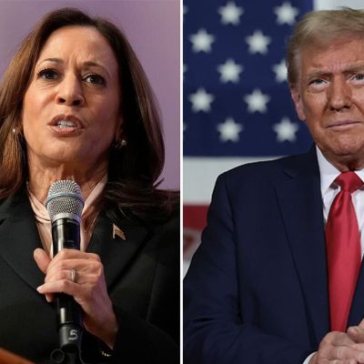 Kamala Harris takes huge lead on Donald Trump in key voting group