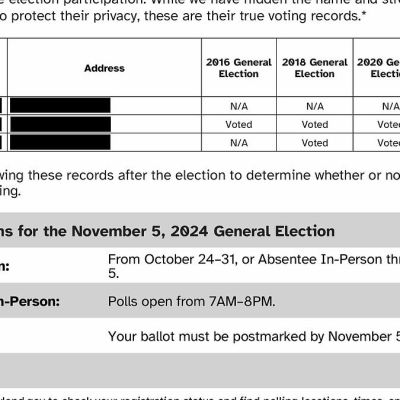 People get 'creepy' pamphlets 'intimidating' them into voting