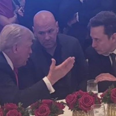 How Elon Musk, RFK Jr and Dana White could be part of Trump’s cabinet