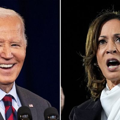 The fatal flaw in Kamala Harris’ speech, marred by Biden’s ‘garbage’ comment