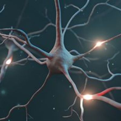EQT Life Sciences co-leads EUR 51 million Series B in Exciva to advance its Alzheimer’s therapy into clinical Phase 2