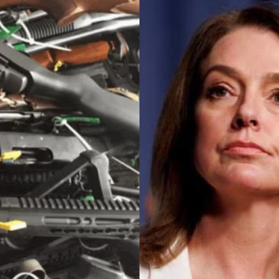 ‘Absolute bulls**t’: NSW Opposition Leader blasts Labor’s gun buyback