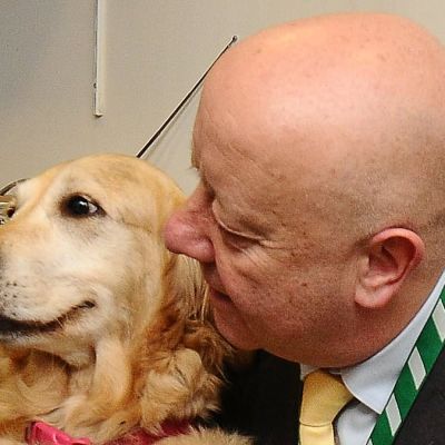 A day in the life of Britain's most famous guide dog