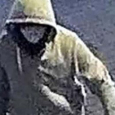 Was the Jan 6 pipe bomber a WOMAN?