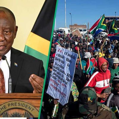 Presidency condemns anti-illegal immigration campaigns, says they harm South Africa’s reputation