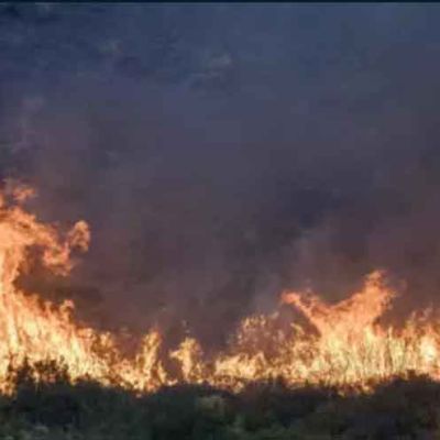 Western Europe experienced hottest June-July on record: EU monitor