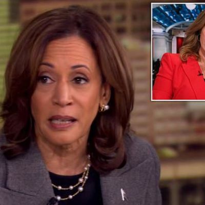 Kamala Harris’ jaw-dropping answer on ‘The View’ that stunned advisor