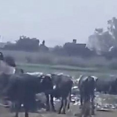 Pakistan deploys artillery to India’s border as fears of war emerge