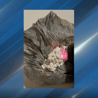 Two Benton Harbor men arrested in New Buffalo drug bust; heroin, crack seized