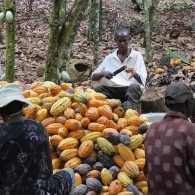 Ghana secures major trade win as U.S. reverses 15% tariffs on cocoa, other agricultural goods – Ghanamma.com