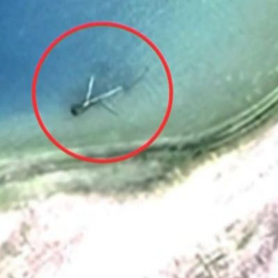Expedition to find Amelia Earhart’s missing plane comes up empty – AOL