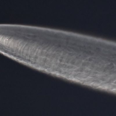 China tells UN Elon Musk’s Starlink satellites pose ‘safety and security’ risk