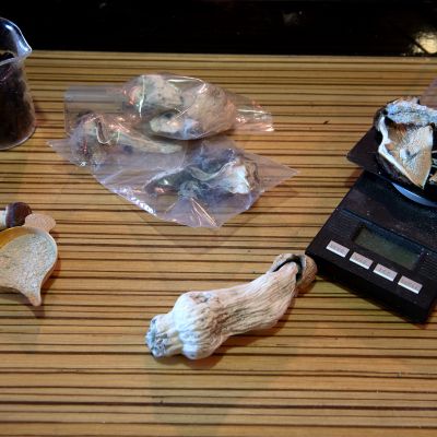 The Colorado psychedelic mushroom experiment has arrived