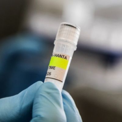 International Response Intensifies as Hantavirus-Hit Cruise Ship Nears Tenerife | THE DAILY TRIBUNE | KINGDOM OF BAHRAIN