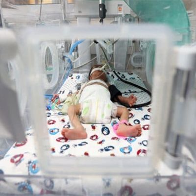 India News | Amoebic Encephalitis Leads to Another Death at Kozhikode Medical College | LatestLY