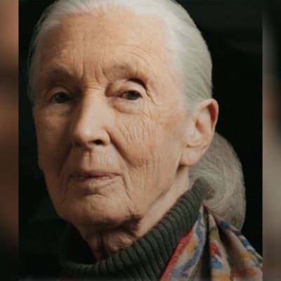 Chronicler of Chimpanzees, Jane Goodall dies at 91