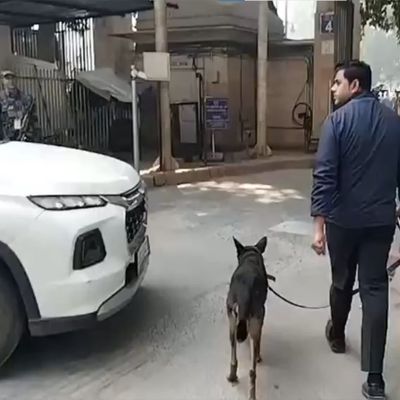 Delhi court premises evacuated after bomb threat, email declared as hoax