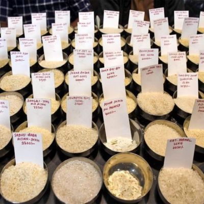 Business News | Higher Tariff on Indian Rice Will Burden US Consumers, India Looking for New Markets: Experts | LatestLY