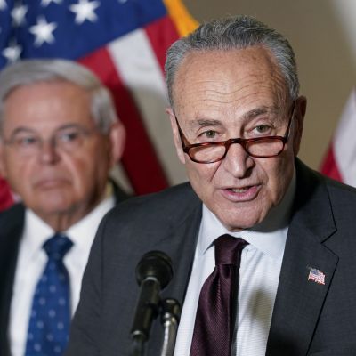 Senior House Democrat Says Chuck Schumer’s Popularity ‘Is Hovering Somewhere Between Elon Musk and the Ebola Virus’