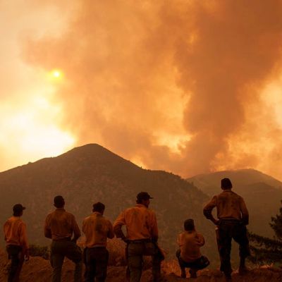 Here’s how DOGE can help save lives, money from wildfires