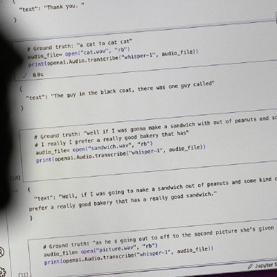 Researchers Say an AI-powered Transcription Tool Used in Hospitals Invents Things No One Ever Said