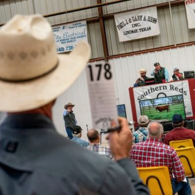 Trump beefs with ranchers over prices, Argentina