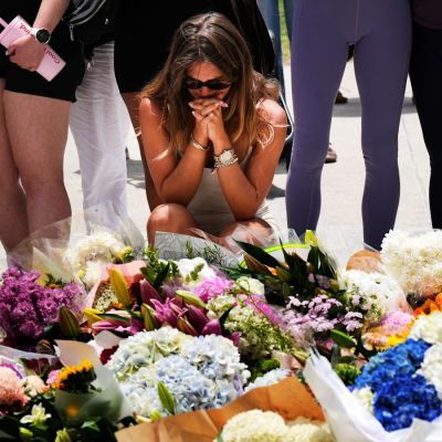 Bondi Beach shooting: What are Australia’s gun laws?