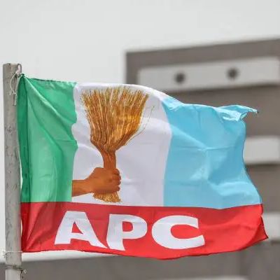 2027: Why ethnic politics can’t stop Tinubu’s re-election  — APC