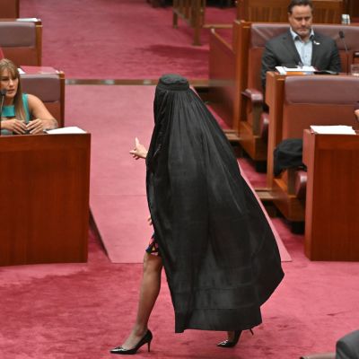 Australian Senator Pauline Hanson suspended from Parliament for wearing burqa in protest – The Boston Globe