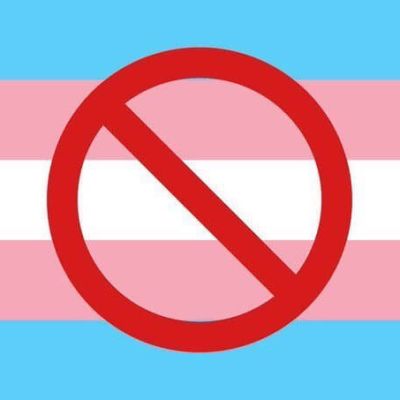 Bill Banning Gender-Affirming Care for Minors Passes House, Heads to Senate ” American Greatness