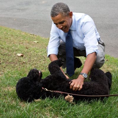 Barack Obama announces death of beloved dog Sunny who lived in the White House