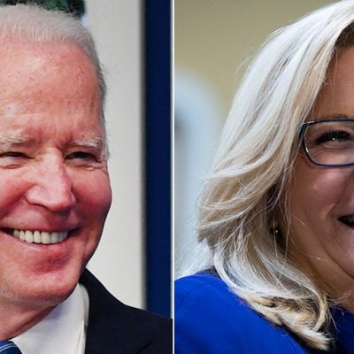 Biden would be making a ‘huge mistake’ with preemptive pardons, legal expert warns