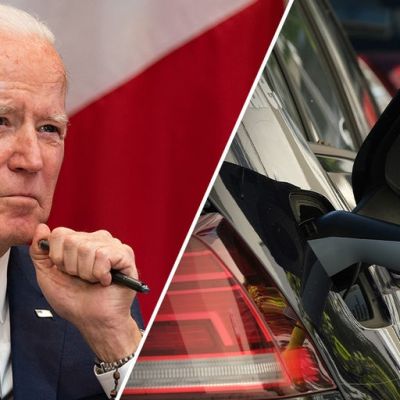 The slow demise of green energy?