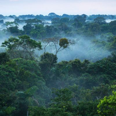 Brazil's Elections and Environmental Policy: A Choice Between Continuity and Dismantling