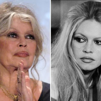 Brigitte Bardots Net Worth and Enduring Cultural Legacy