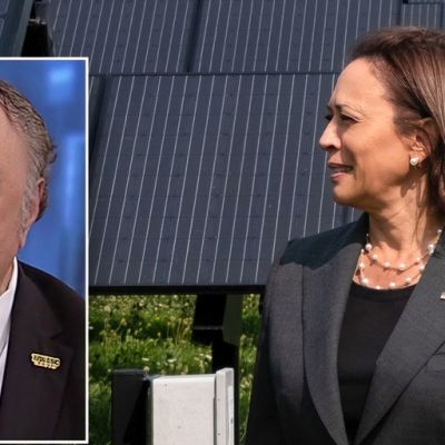 Billionaire oil CEO says Democrats are ‘starting to recognize’ the green energy push is ‘all a fallacy’