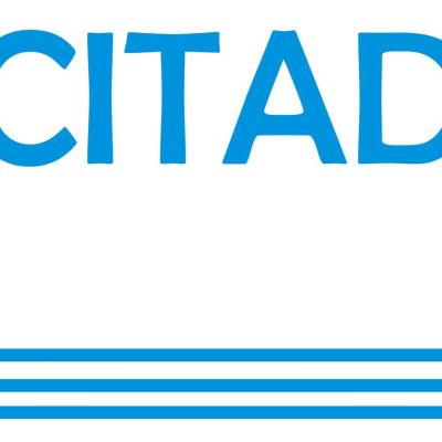 CITAD urges stronger action against digital corruption