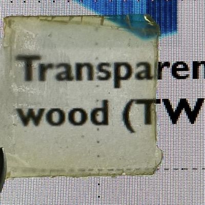 Creating Durable, Semi-Transparent Wood Using Affordable, Natural Materials