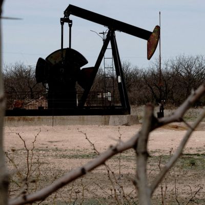 Texas sues Biden administration over lizard’s endangered status, cites oil industry threat