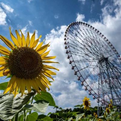 Earth registers hottest July on record: US agency
