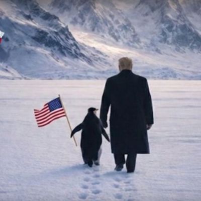 Trump joins viral ‘Penguin meme’ trend, but gets it wrong, netizens hit back with reality check; here’s what happened