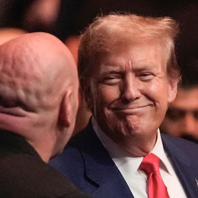 50 reasons why $70 million plus in small donations poured in after Trump verdict